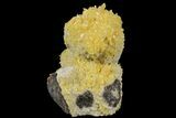 Fluorescent, Yellow Calcite Crystal Cluster - South Dakota #170699-1